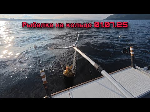 Видео: РЫБАЛКА НА КОЛЬЦО В САМАРЕ В РАЙОНЕ ШИРЯЕВО. КРУПНЫЙ ЛЕЩ. 01 ИЮЛЯ 2025 ГОДА