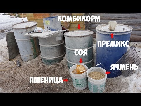 Видео: Готовим комбикорм для крс: состав