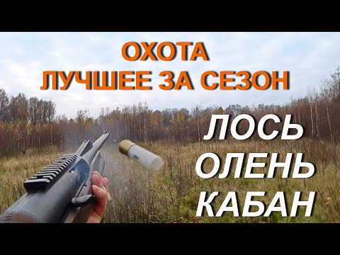 Видео: Охота на лося, оленя и кабана. Не вошедшее и лучшее за сезон.