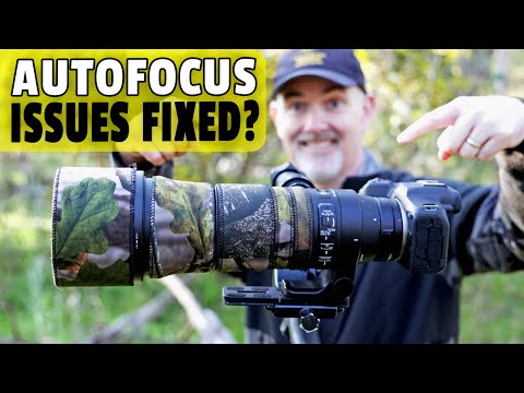 Видео: Sigma 150-600mm ЛУЧШИЕ настройки для уменьшения пульсации АФ, включая полевые испытания!