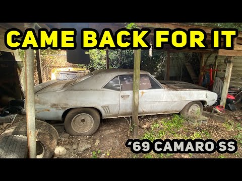 Видео: Этот Camaro SS 1969 года выпуска простоял десятилетиями… Нам пришлось вернуться