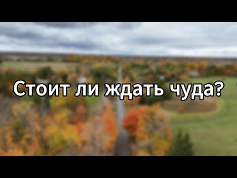 Видео: Настоящее чудо ближе, чем ты думаешь | Мудрая притча