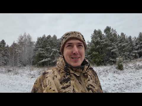 Видео: Первый зимний выход, тетерева, козы и лисы