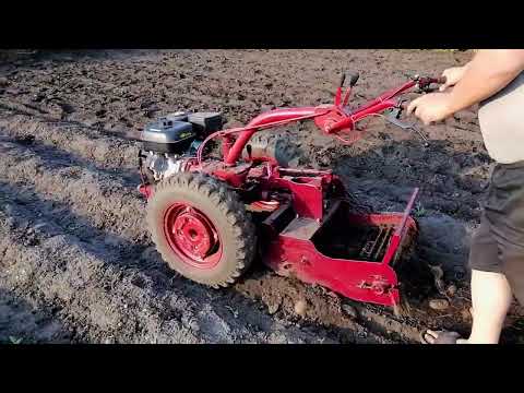 Видео: Модернизированная транспортерная картофелекопалка