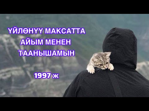 Видео: Үйлөнүү максатта айым мн таанышамын. ЭРЛАНБЕК жөнүндө маалымат. ИНСТА: uibulo_kuruu 👈