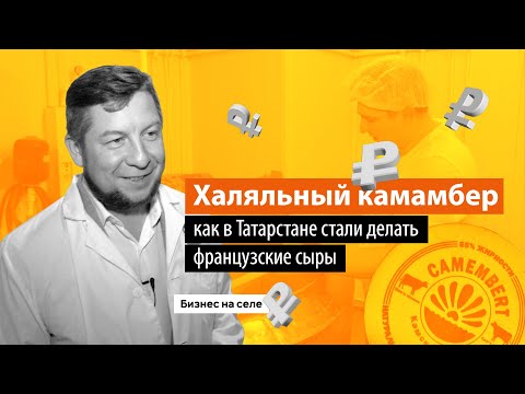 Видео: Халяльный камамбер. Как в Татарстане стали делать французские сыры