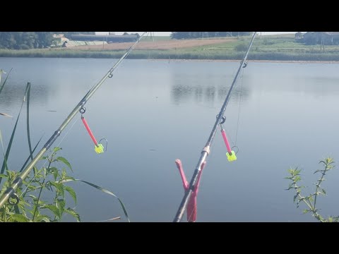 Видео: КАРПИ АЖ ВИРИВАЮТЬ СПІНІНГИ Риболовля на Карпа на СТАВІ