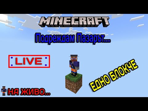 Видео: ПРАВИМЕ ПАЗАР С ВИЛИДЖЪРИ  НА  ONE BLOCK MINECRAFT Bedrock