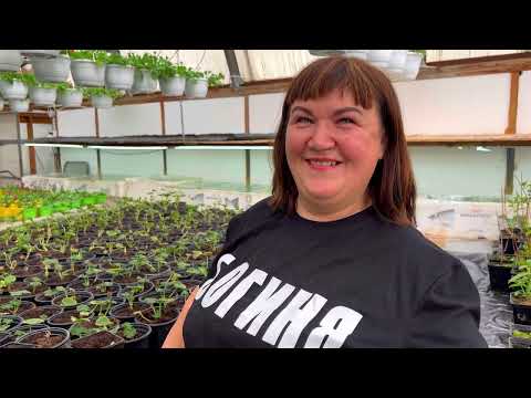 Видео: У меня в гостях Георгий Аристов @raritetplants