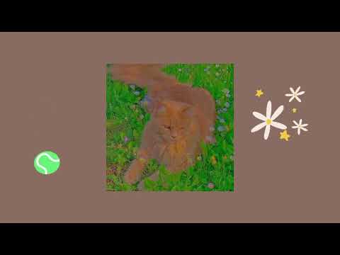 Видео: ~🌟Забей на проблемы и наслаждайся летом☀️•playlist~
