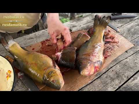 Видео: Сравниваю два ножа