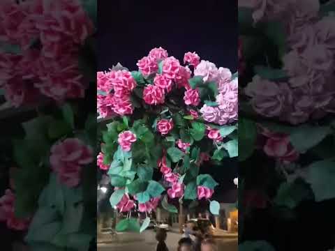 Видео: БОЙКО ИВАНОВ-СТАРЦЕВО 