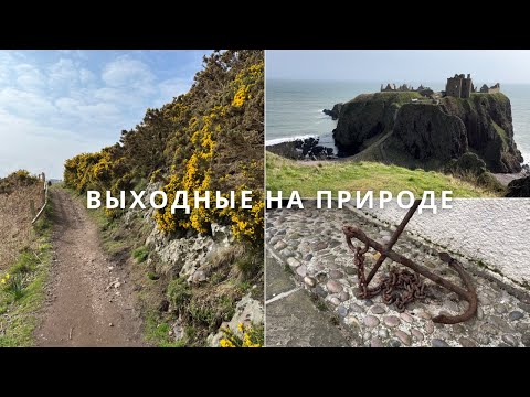 Видео: Шотландский Замок Dunnottar, Весенняя Прогулка у Моря и Рецепт Мёда из Одуванчиков