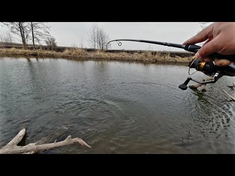 Видео: Рыбалка на спиннинг в середине апреля.