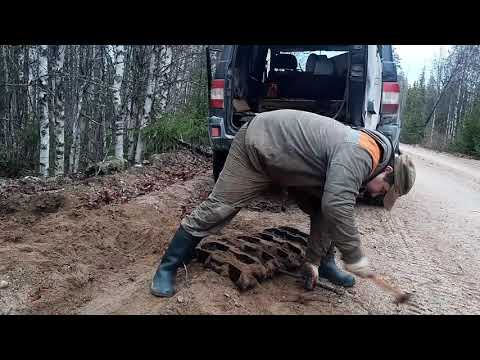 Видео: Металлокоп на лесной дороге.Коп до темноты.Неожиданный гость!!!