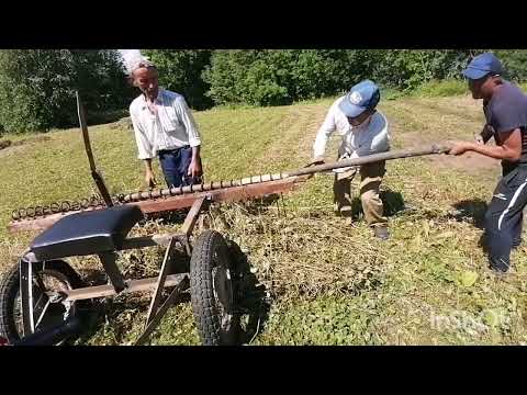 Видео: Сенокос. Собираем сено мотоблоком и самодельными граблями