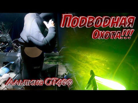 Видео: УДАЛОСЬ ВЗЯТЬ НЕСКОЛЬКО РЫБ!!! ДУШЕВНОЕ ВИДЕО О ПОДВОДНОЙ ОХОТЕ НА АЛЮМИНИЕВОЙ ЛОДКЕ АЛЬПИНА GT400P
