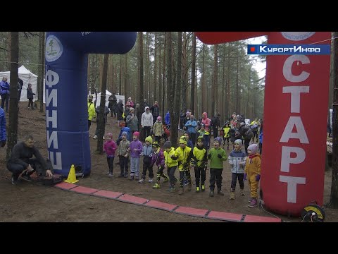 Видео: Бег по пересечённой местности «ДЮНЫ-2025»