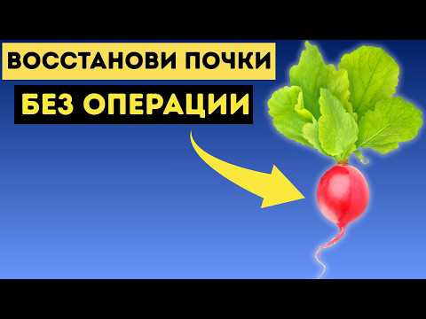 Видео: Почки в ОПАСНОСТИ: 4 овоща спасают и 6 УНИЧТОЖАЮТ НАВСЕГДА