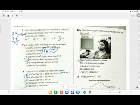 Видео: ДИМ/Испытательный экзамен 1/ Биология/ 4 группа/