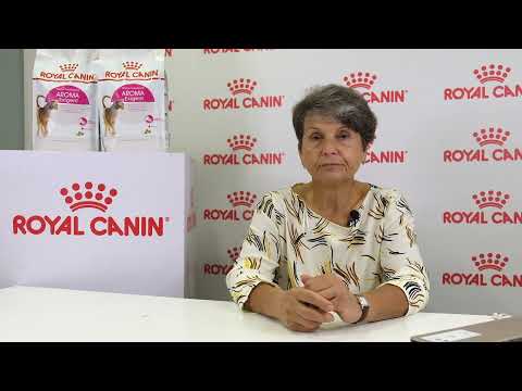 Видео: Определяем окрас кошки: куда смотреть и как избежать ошибок.