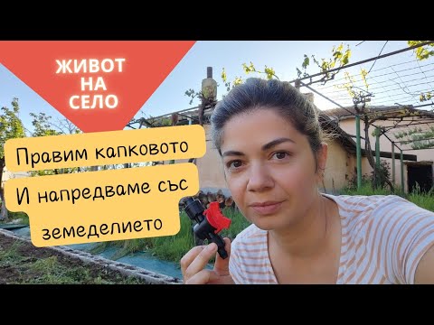 Видео: Капково напояване и напредък в земеделието | Пътят към живот само от село 🌿 #животнасело
