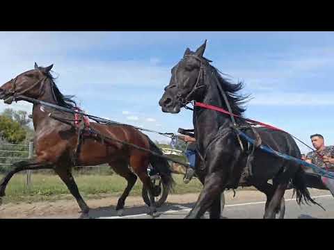 Видео: Ваня пласто город рубцовск