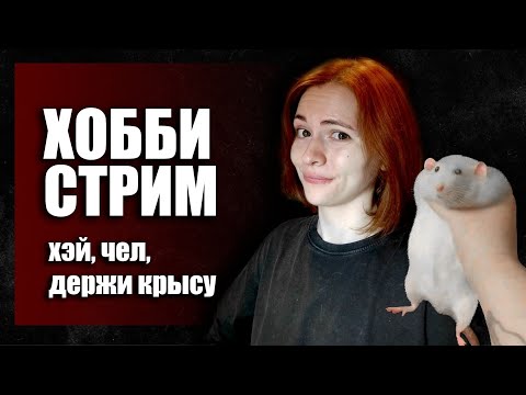 Видео: У накс завелись крысы)