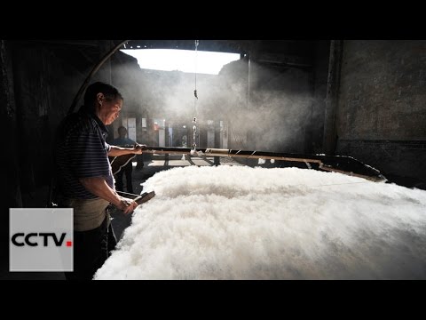 Видео: Мастерство ремесленников Серия 18 Пух из-под струны смычка