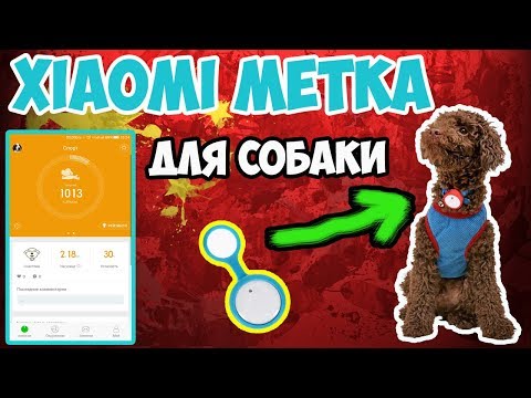 Видео: 🐕Фитнес трекер и электронная метка для твоей собаки Xiaomi Smart Dog Button Tag с сайта Gearbest!