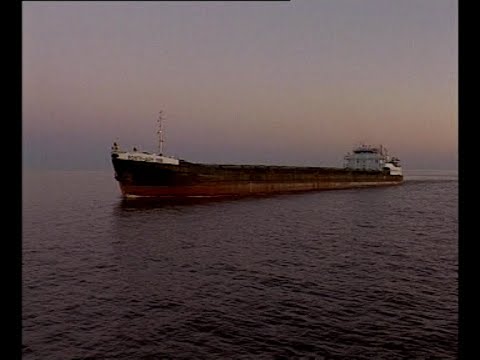 Видео: Села чайка на клотик ...