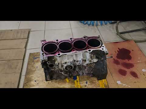 Видео: 3 ноября 2025 г.