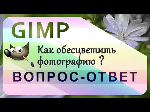 Видео: 6. Как обесцветить фотографию в GIMP.