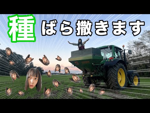 Видео: Защита азуки: обработка дроном и посев овса для управления полем! [DJI Agras T50]