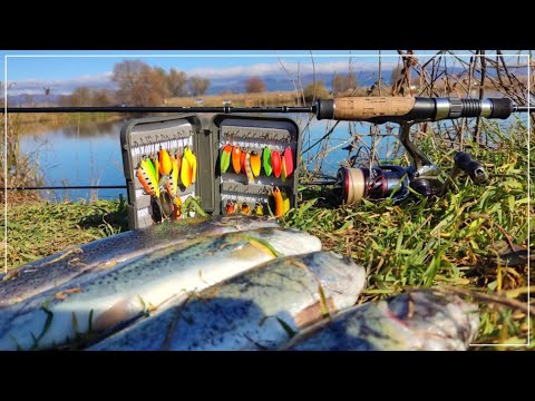 Видео: Американки на клатушки. Area Fishing