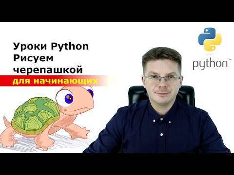 Видео: Уроки Python / Рисуем с помощью черепашки / Подключение модуля turtle