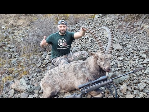 Видео: Горная охота на трофейного сибирского козерога в Саянах с калибром 300 win mag (октябрь 2021)