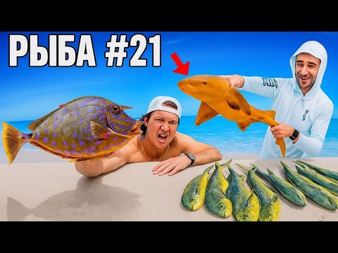 Видео: Поймали 24 МОРСКИХ СУЩЕСТВА за 24 ЧАСА! *Что мы поймали?*