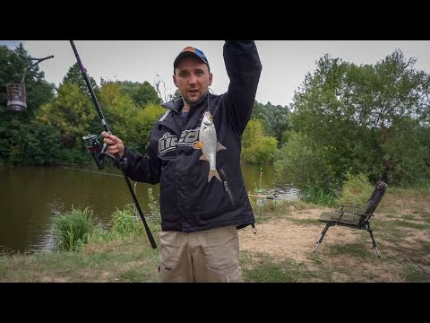 Видео: Рыбалка на фидер. Ловим карасика. Река Тетерев. Фрузиновка. Рыбалка с ночёвкой.