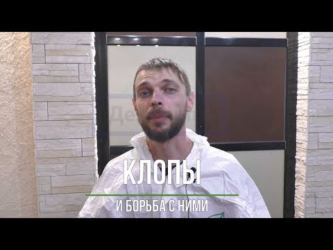 Видео: Постельные клопы❗️ Холодный и горячий туман – эффективное средство ➤ Дезинсекция  и дезинфекция