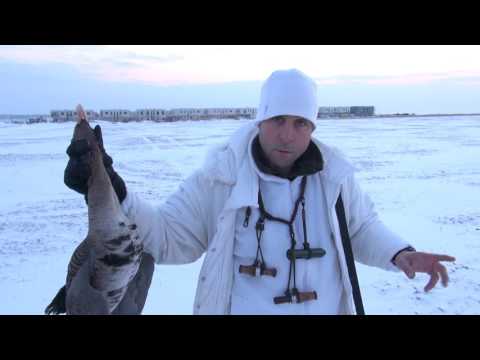 Видео: ЛОВЕН КЛУБ НА ЛОВ ЗА ГЪСКА С БОЖИДАР НИКОЛОВ ЧАСТ 1