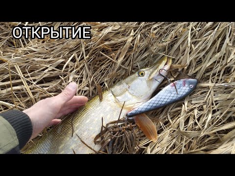 Видео: ТАКОГО ОТКРЫТИЯ Я НЕ ОЖИДАЛ!!! ЩУКА на ДЖЕРКИ ВЕСНОЙ!!