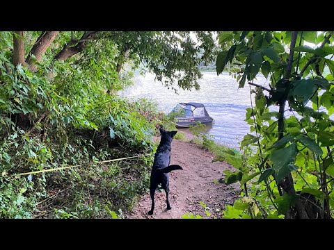 Видео: С ночевкой на Оке. Зарядили донки. Кто живет в этой яме?