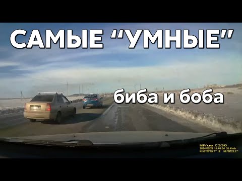 Видео: Подборка САМЫХ "УМНЫХ" водителей #966