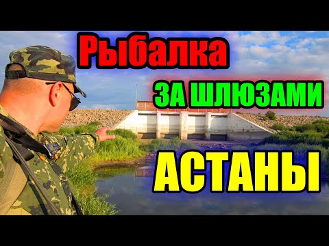 Видео: РЫБАЛКА, ЗА ШЛЮЗАМИ АСТАНЫ!!! РЕКА ИШИМ 2023.#рыбалка #казахстан #ишим #река