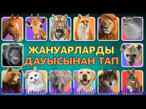 Видео: ЖАНУАРЛЫРДЫ ДАУЫСЫ АРҚЫЛЫ АНЫҚТА 🐱🐯🦁🐴 | IQ  300 🧠