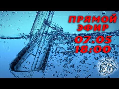 Видео: Инженерная служба водоподготовки - невидимые зрителю хранители воды.