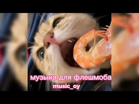 Видео: музыка для флешмоба🫶 speed up ✨