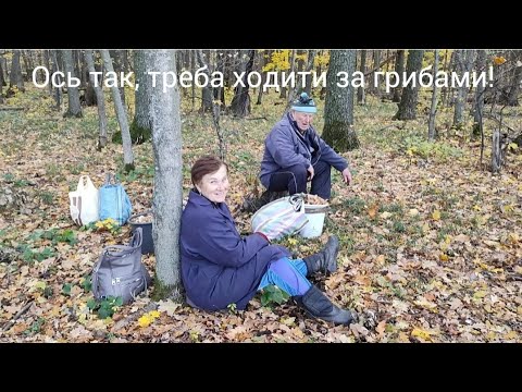 Видео: Ось так, треба ходити до лісу, за грибами!