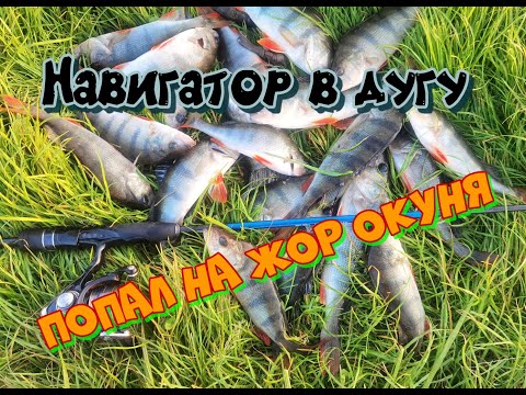 Видео: ОПЯТЬ ПОПАЛ НА ЖОР ОКУНЯ🐟🐟🐟НАВИГАТОР В ДУГУ🎣🎣🎣